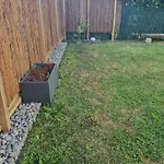 Les Murmures De La Forêt Samoussy