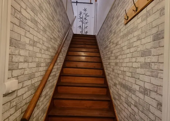 Les Murmures De La Foret