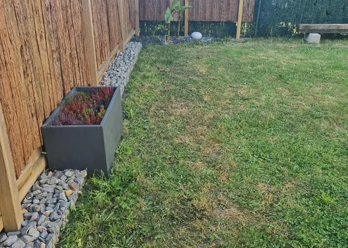 Les Murmures De La Foret Samoussy